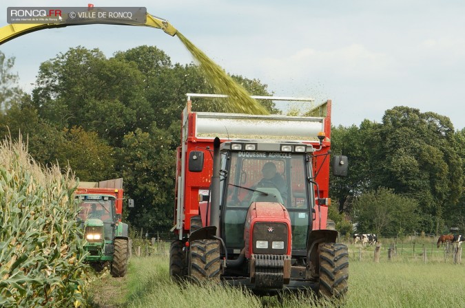 2015 - ensilage