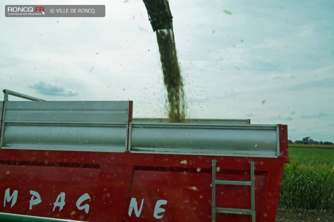 2015 - ensilage 